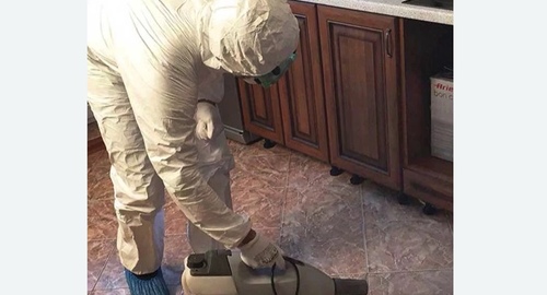 Уничтожение тараканов в квартире. Горно-Алтайск